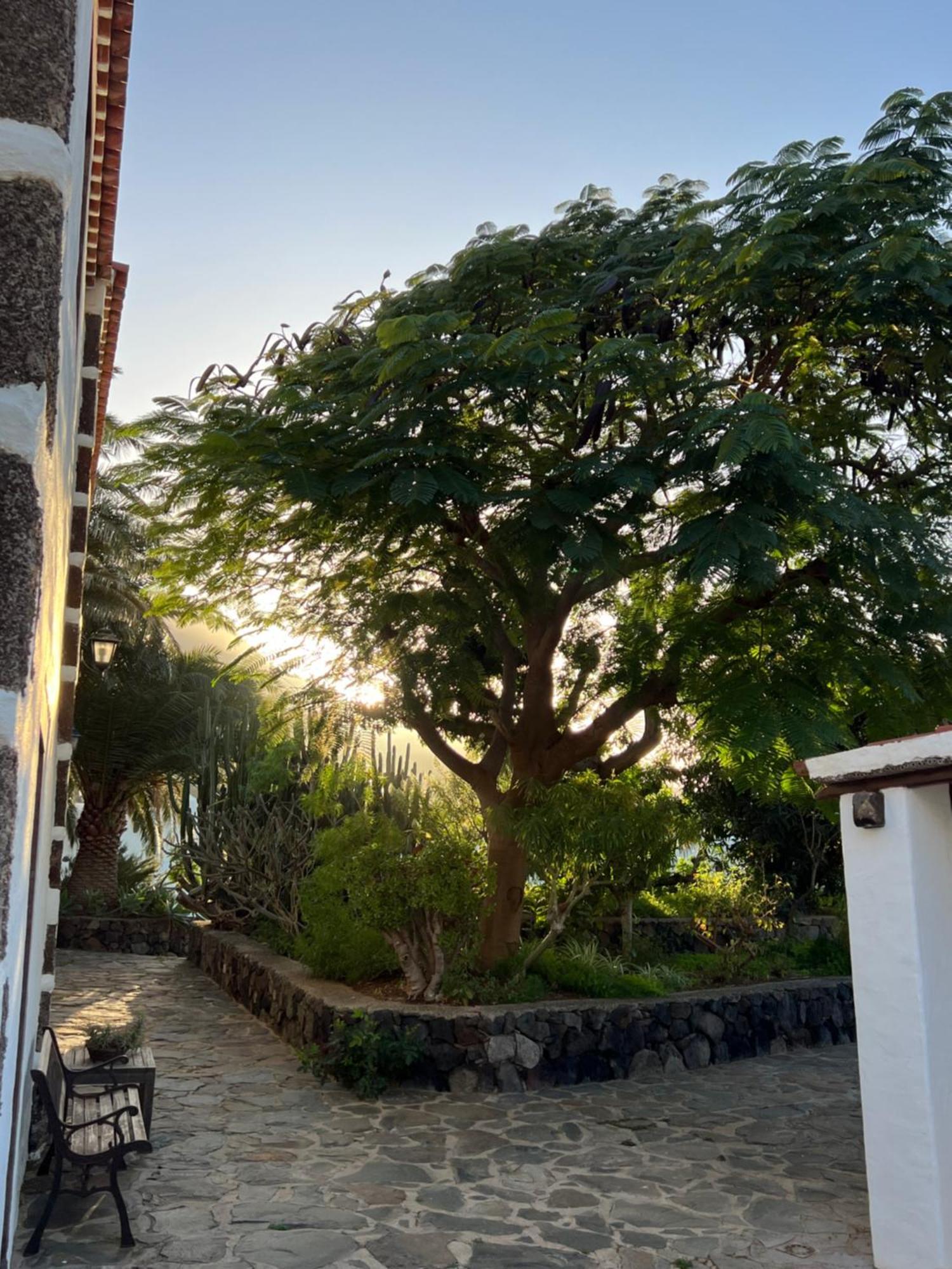 Finca Exclusiv La Mareta Agaete  Eksteriør billede